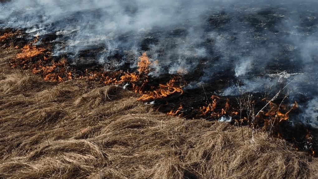 Пожежа в Сагунівці: 65-річного чоловіка з опіками доставили до лікарні