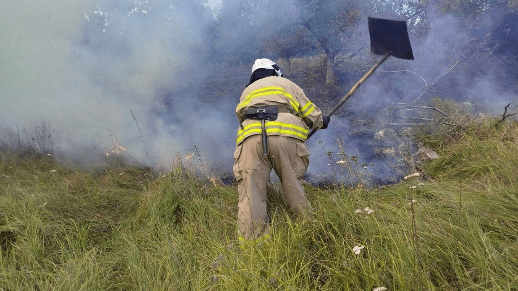 На Черкащині погасили п’ять пожеж сухої рослинності — основна причина через необережність