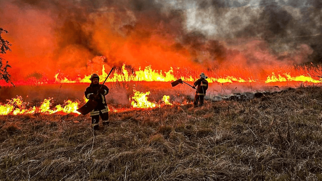 На Черкащині від початку року зафіксували понад тисячу пожеж
