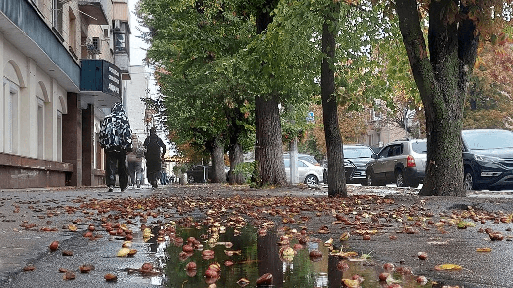 Погіршення погоди на Черкащині: дощі та сильний вітер 30 вересня