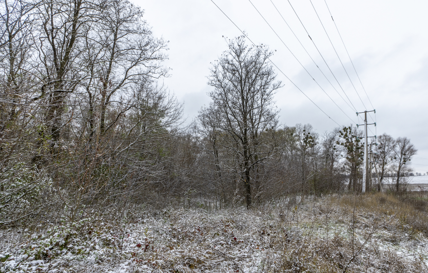 Чумацький шлях (пам’ятка природи): місце, де зупиняється час і оживає душа