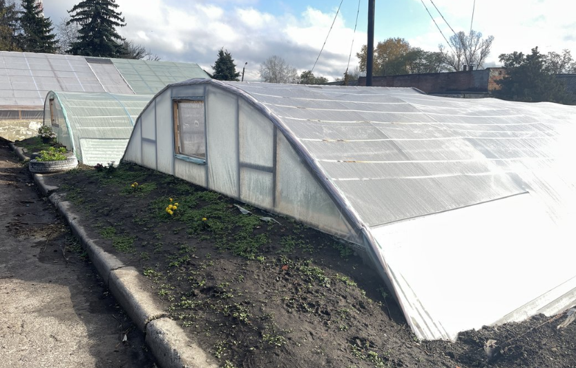 Відновлення роботи теплиць КП «Декоративні культури» після обстрілу: як Полтава рятує квіти та готується до весни